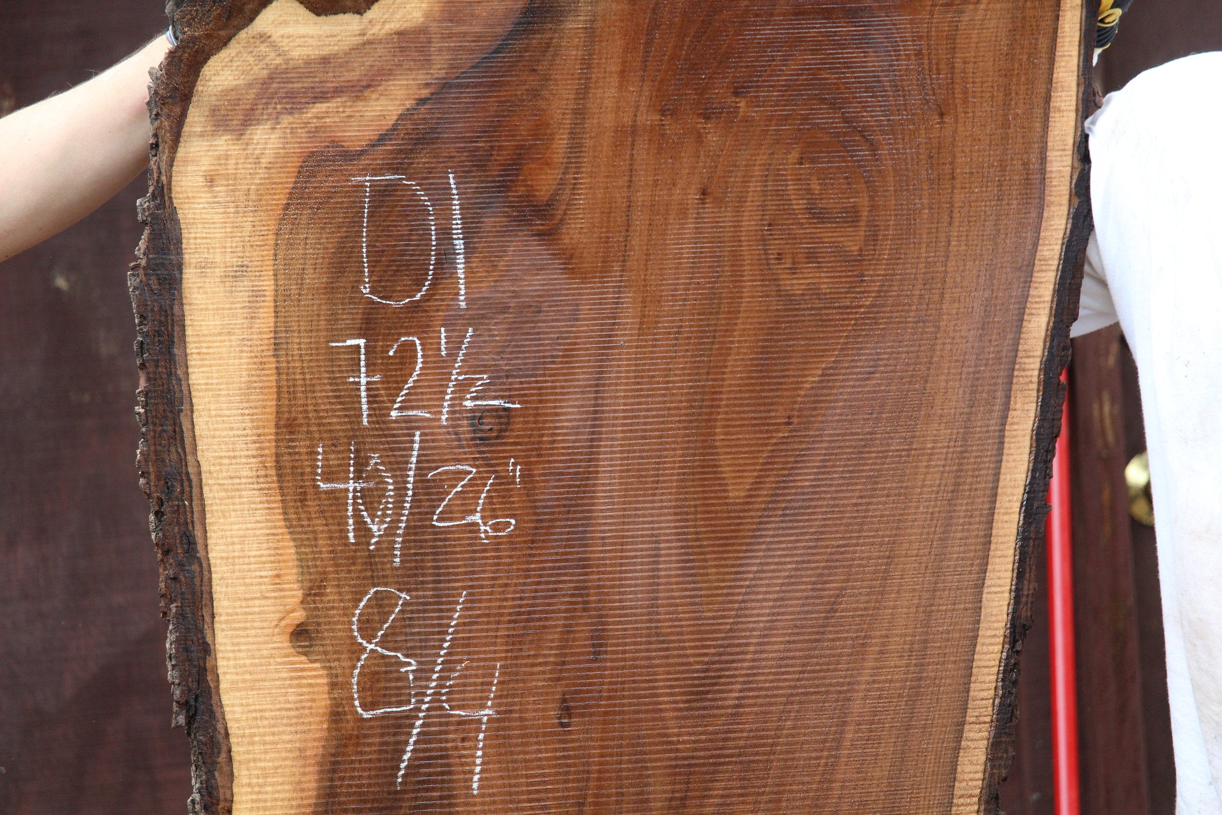 Walnut Slab D1